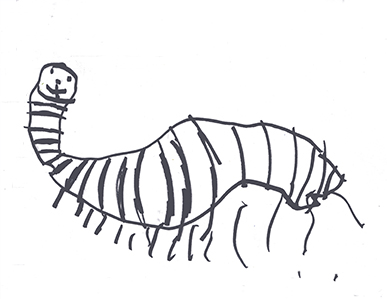 zebrapillar